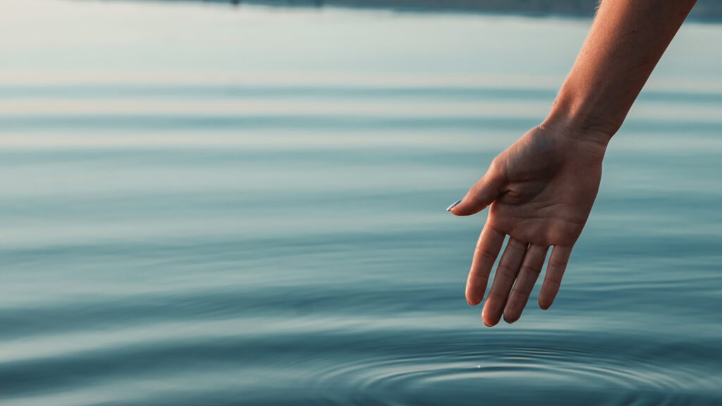 Discover Some of our Product's Features